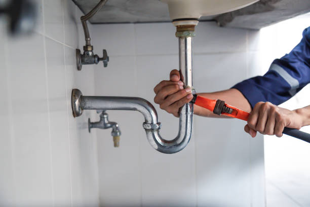Best Clogged Drain Plumber  in Heeia, HI